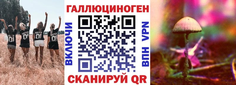 omg tor  Белоозёрский  Галлюциногенные грибы MAGIC MUSHROOMS 